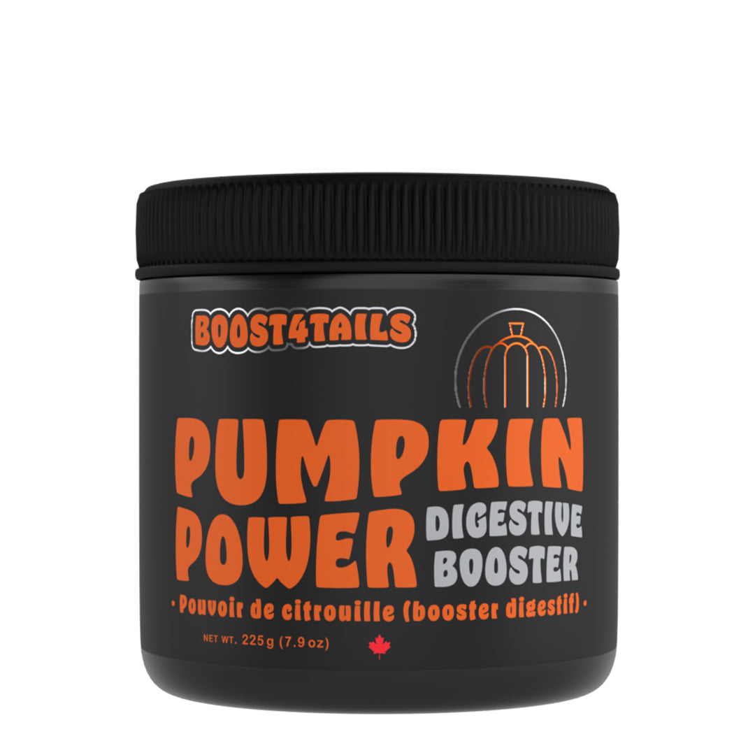 Pumpkin Power
