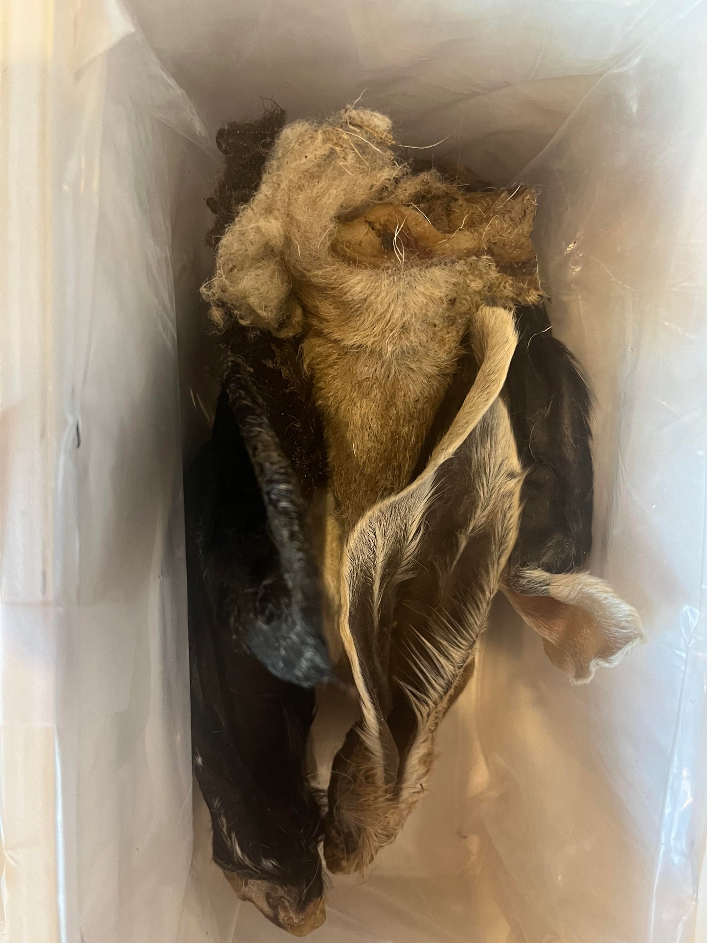 Dehydrated Furry Lamb Ear