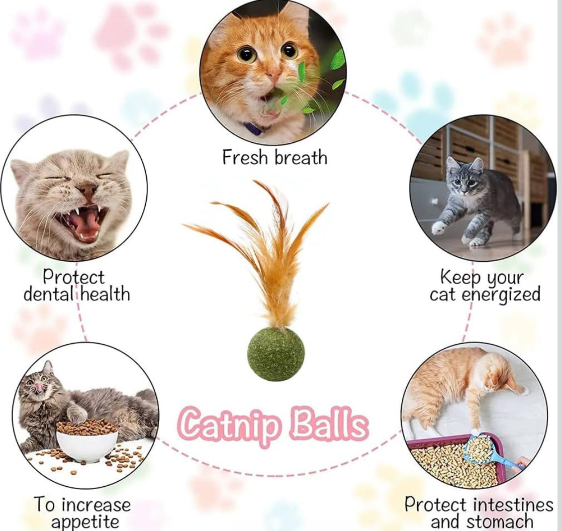 Catnip ball with feather