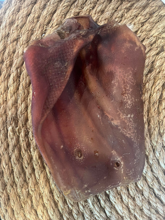 Dehydrated JUMBO Pig Ear