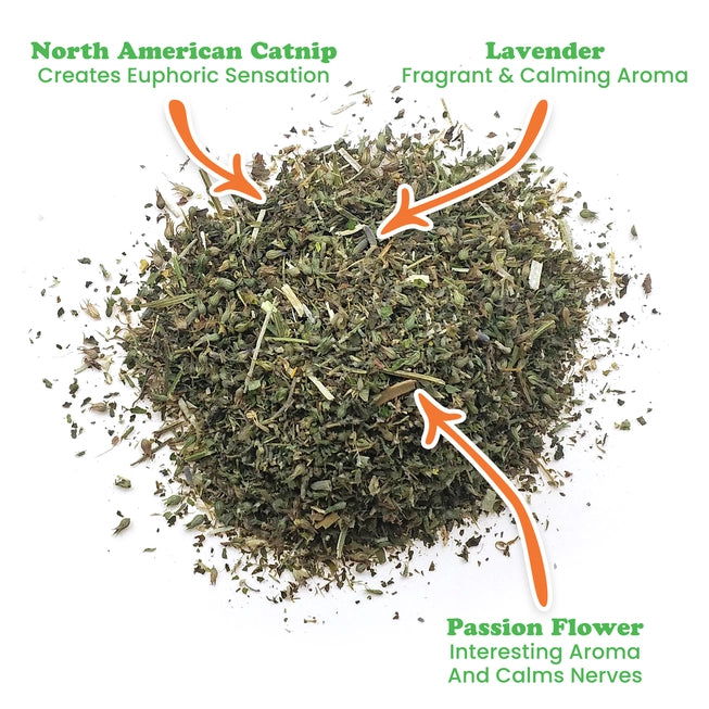 Mice Dreams Catnip Blend