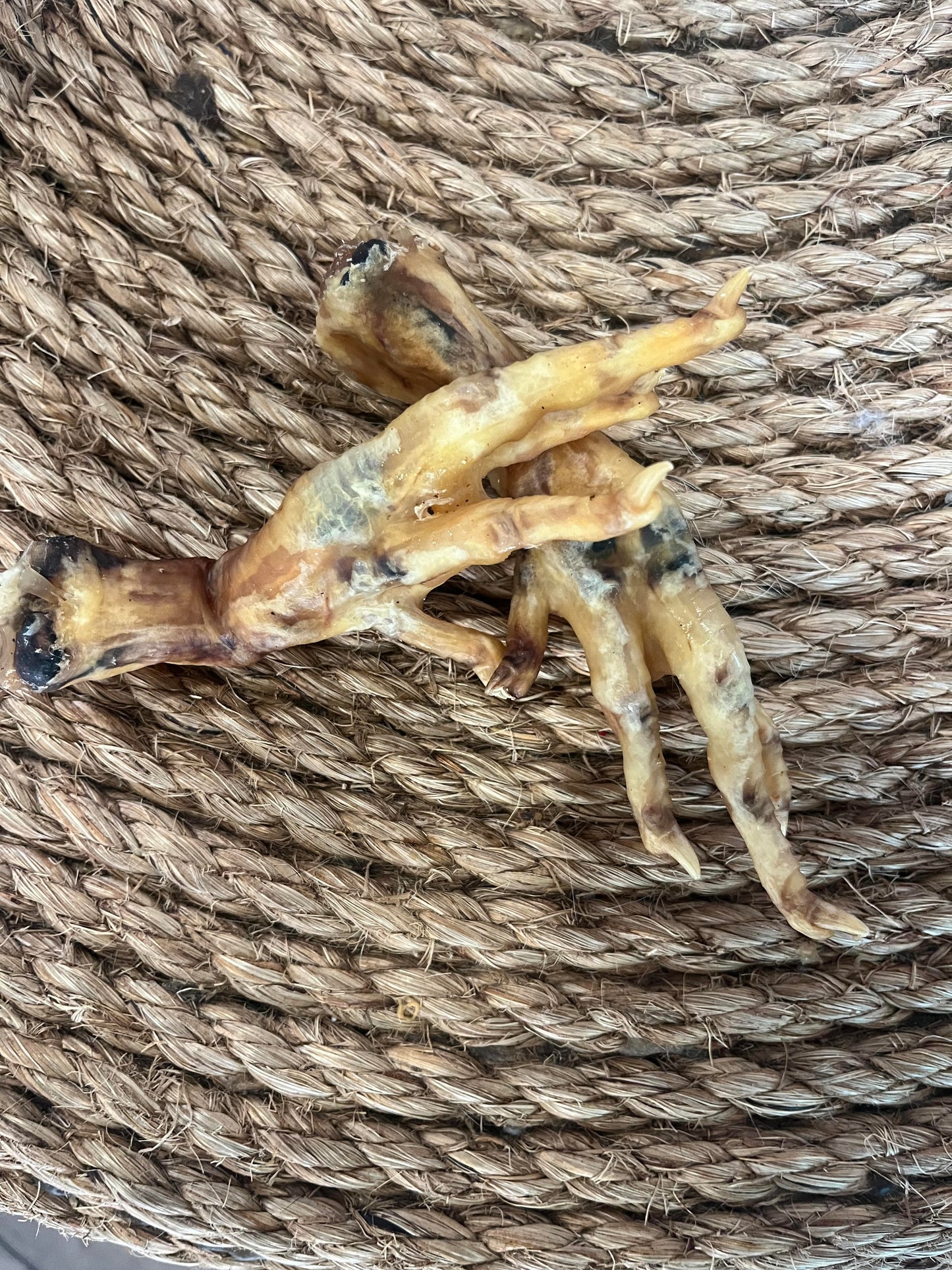 Dehydrated Chicken Feet