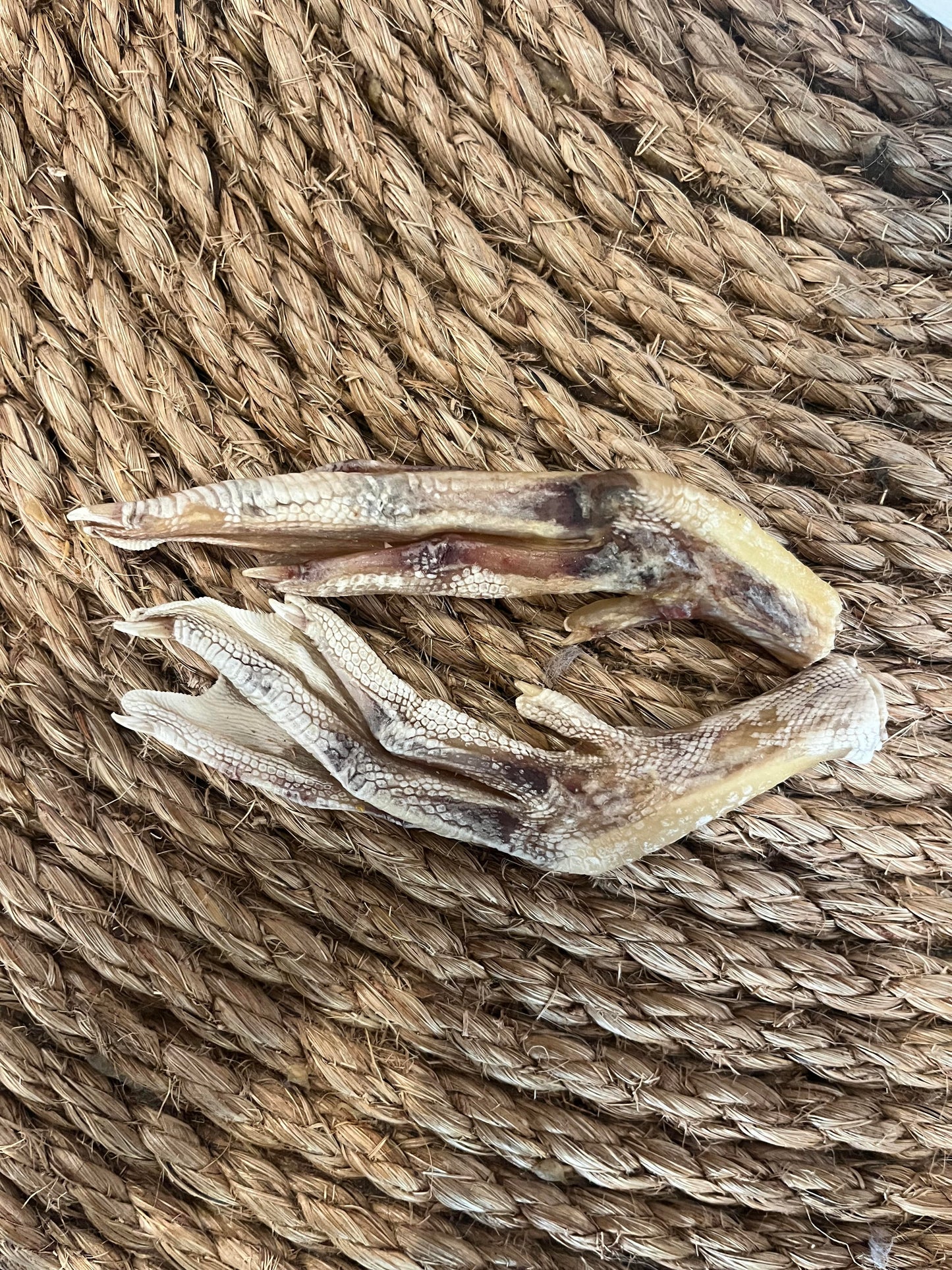 Dehydrated Duck Feet