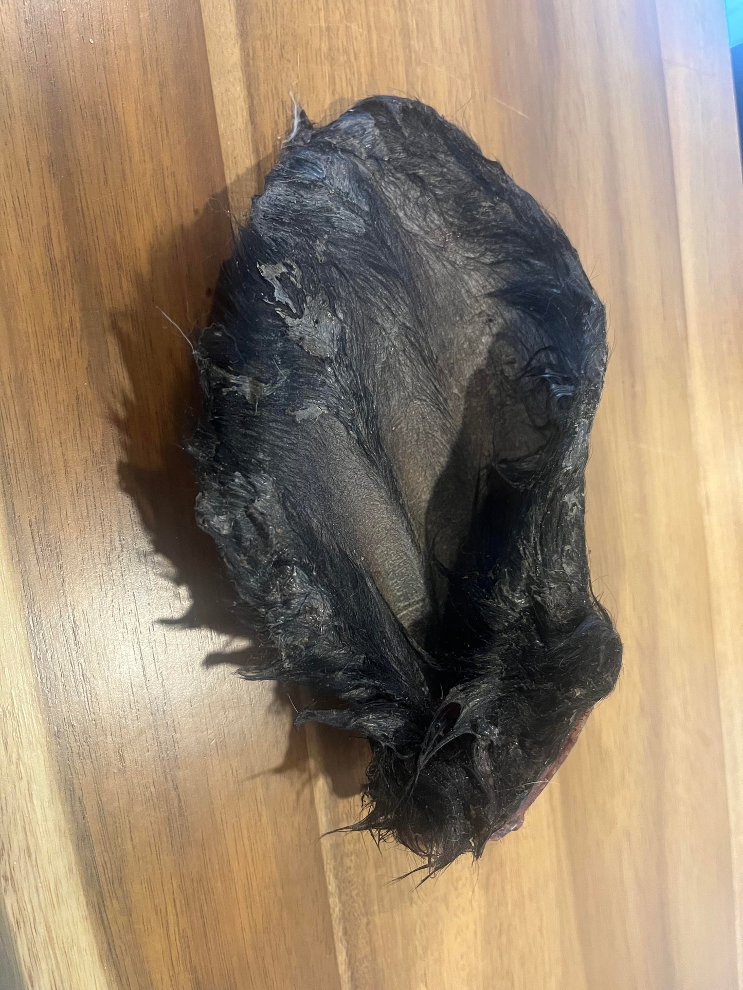 Furry Cow Ear
