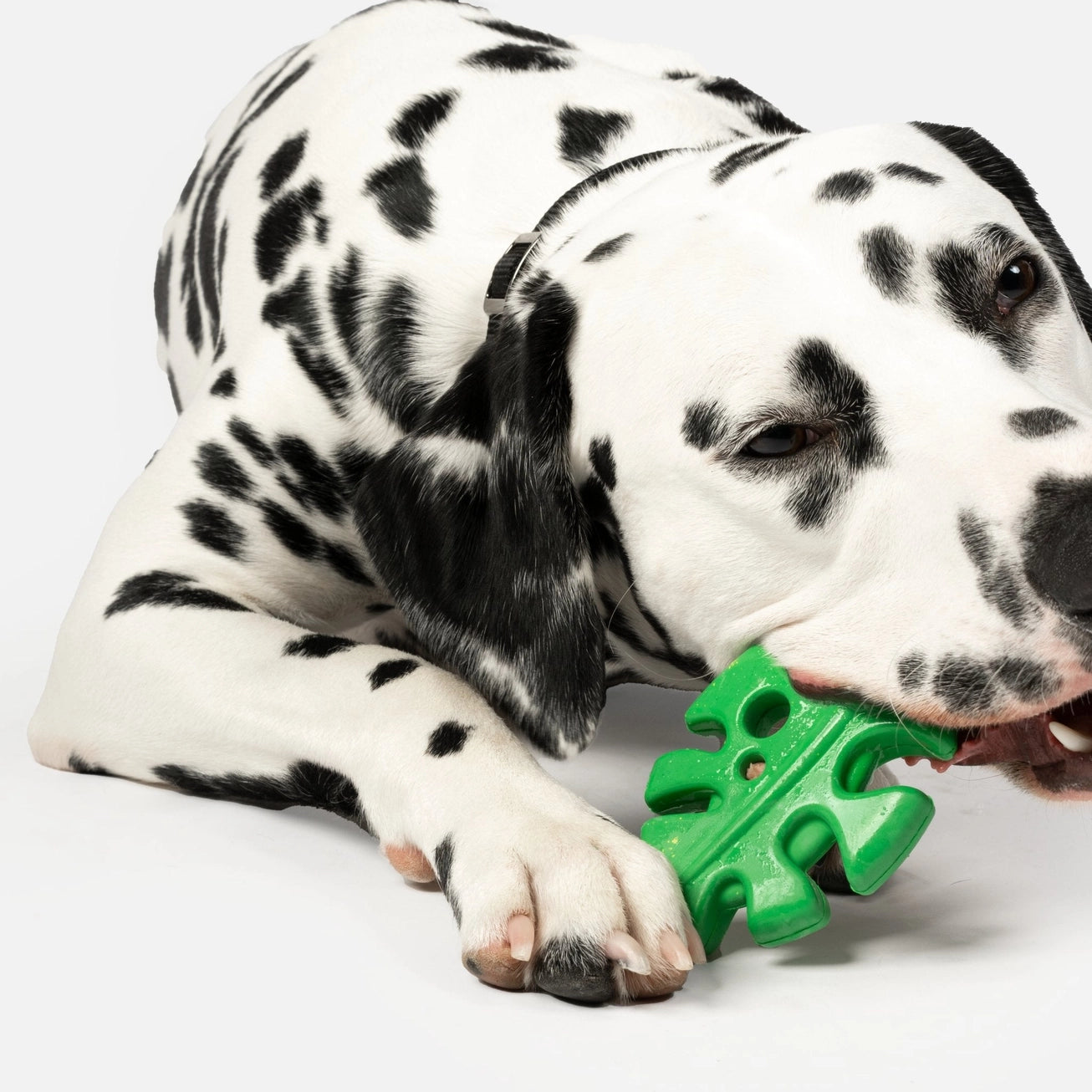 Leaf Chew Toy