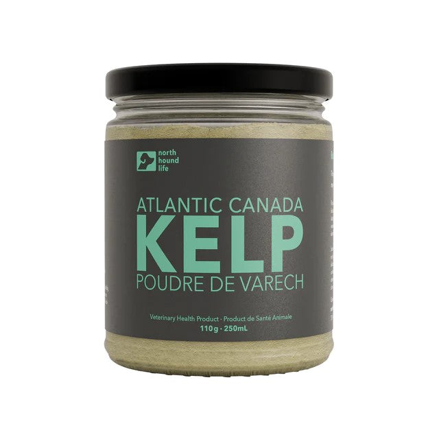 Organic Atlantic Kelp