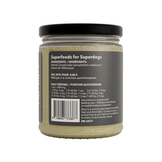 Organic Atlantic Kelp