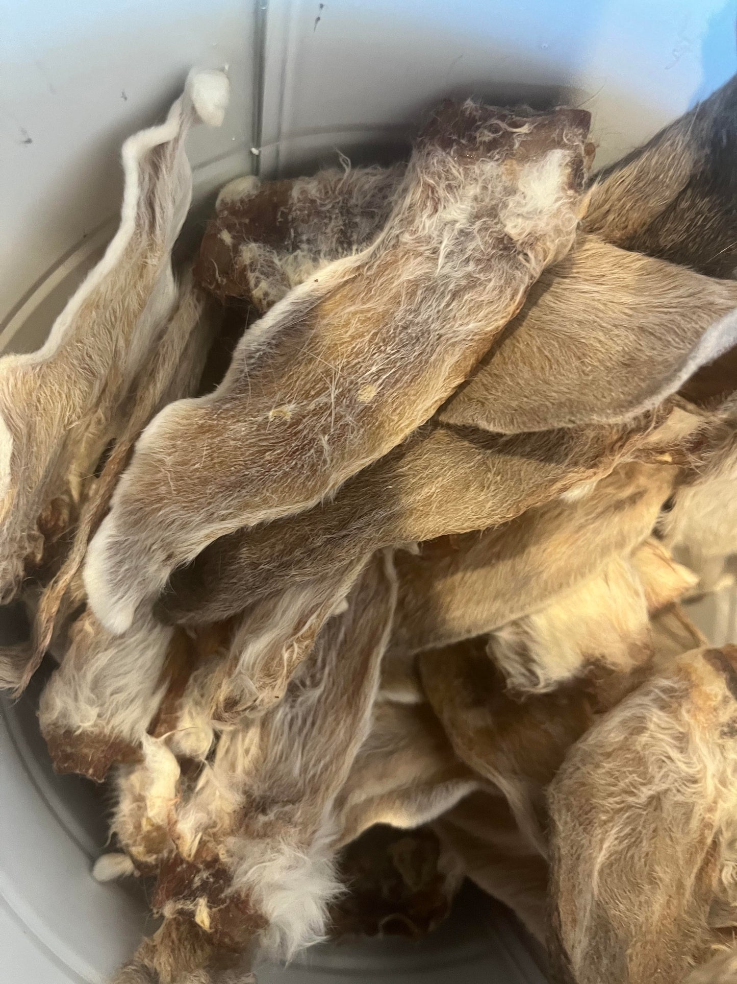 Dehydrated Furry Rabbit Ear