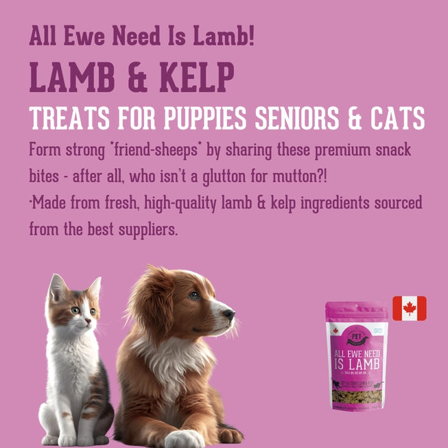 Lamb & Kelp Training Treats